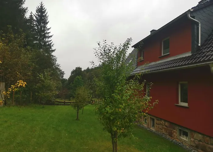 Wiesenblick