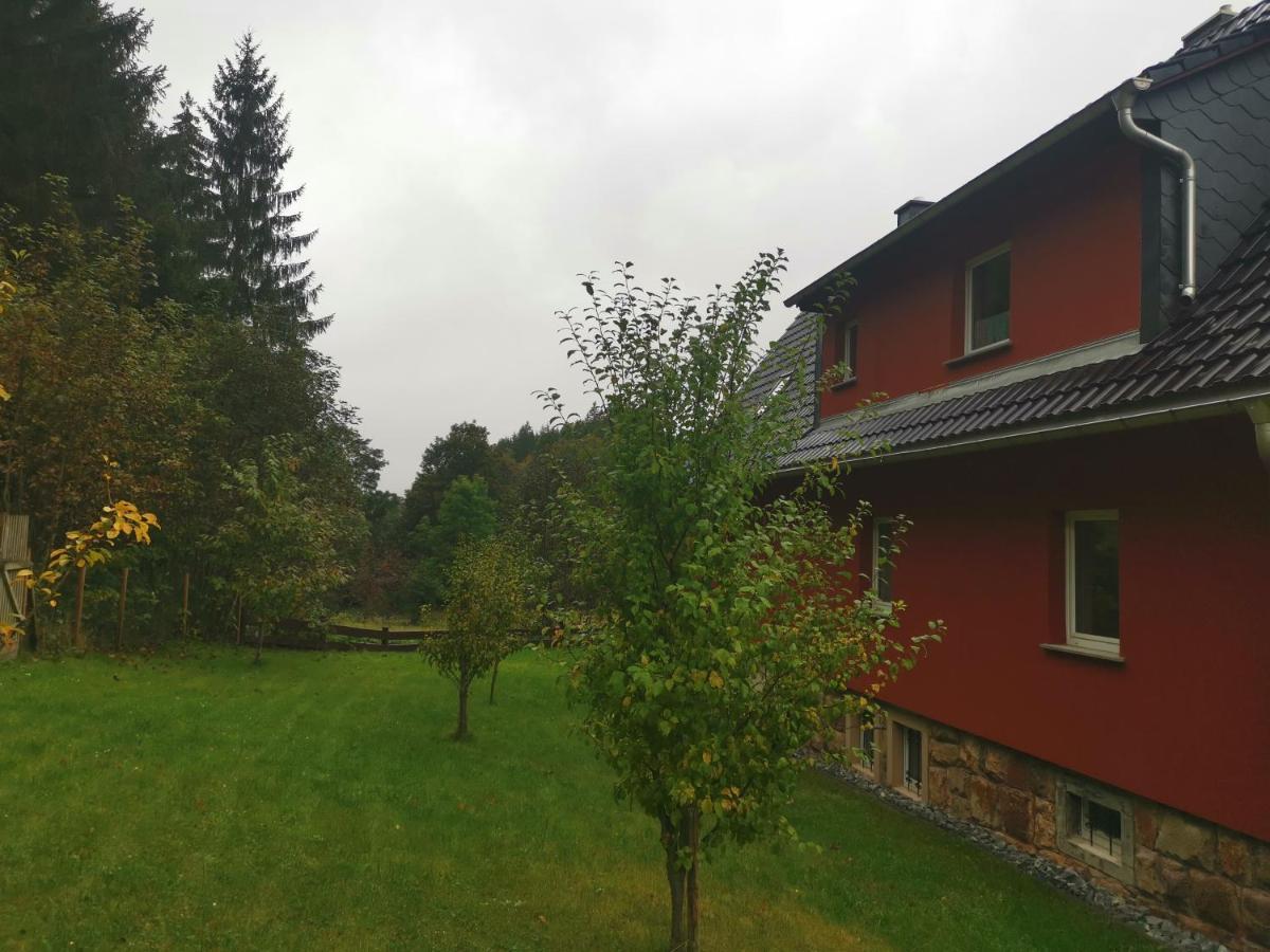 Wiesenblick Apartment *
