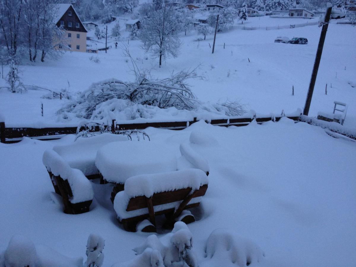 Wiesenblick Apartment *